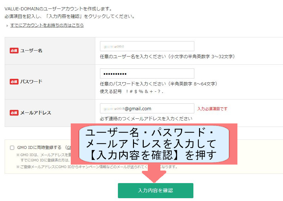 バリューサーバー契約紹介画像-バリュドメイン登録をする-個人情報を入力