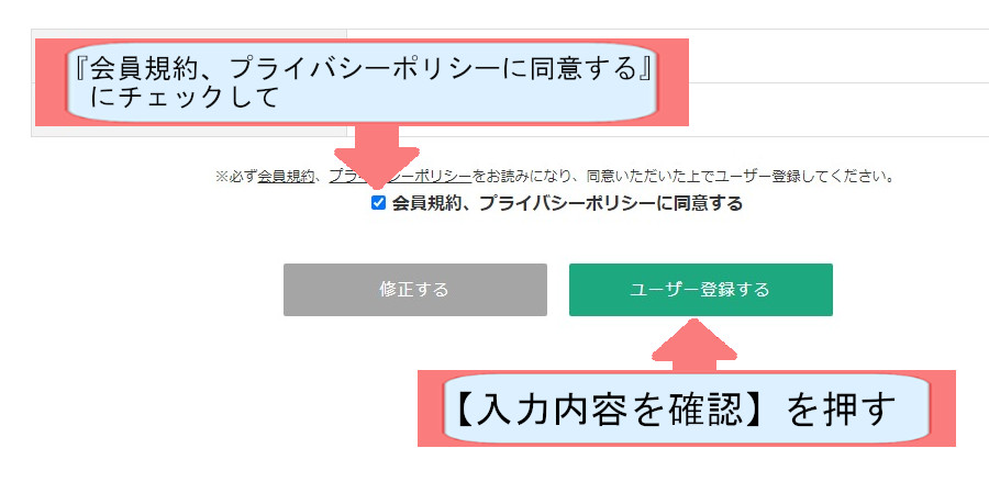 バリューサーバー契約紹介画像-バリュドメイン登録をする-入力内容を確認を押す